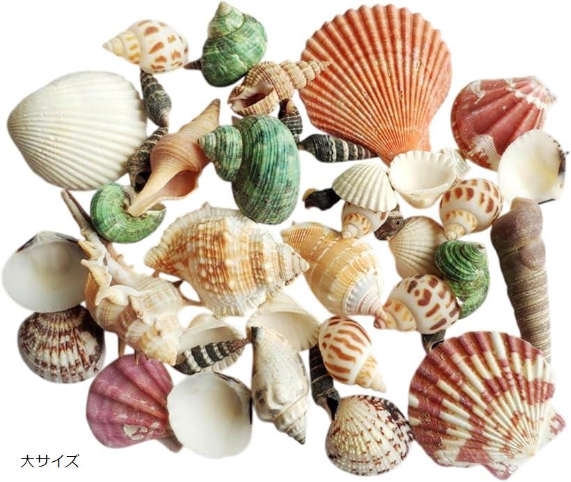 貝殻 ミックスセット ランダム 450g ハンドメイド 工作 DIY アクアリウム マリン デコ クラフト パーツ..