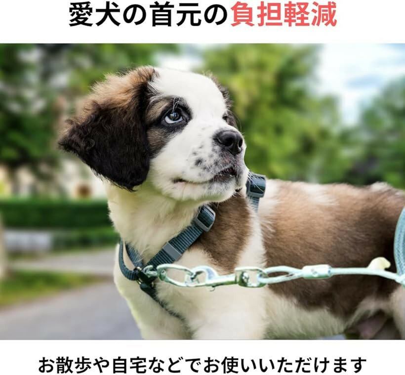 ���󥰥꡼�� �� �ڥå����� ���ѵץ�������磻�䡼 ���Ĥ��� ������ �淿�� �緿 (��å�, 5 m)