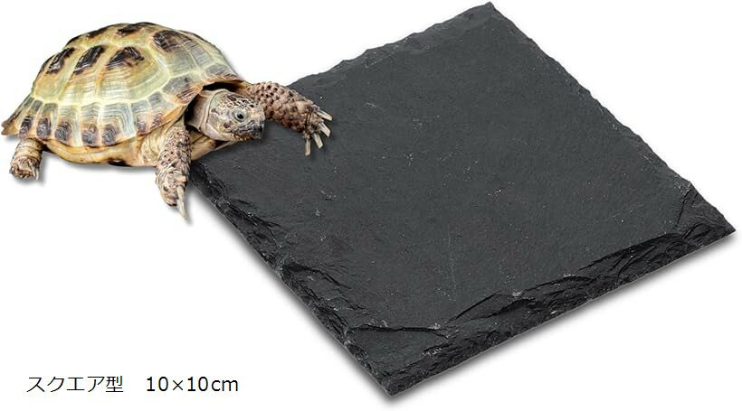 《爪切りいらずで快適ケア》 カメ 溶岩プレート 保温・保湿・耐久性 カメ床材 陸地 石板 リクガメ・ミドリガメ・爬虫類用に (ブラック, スクエア型 10x10cm)