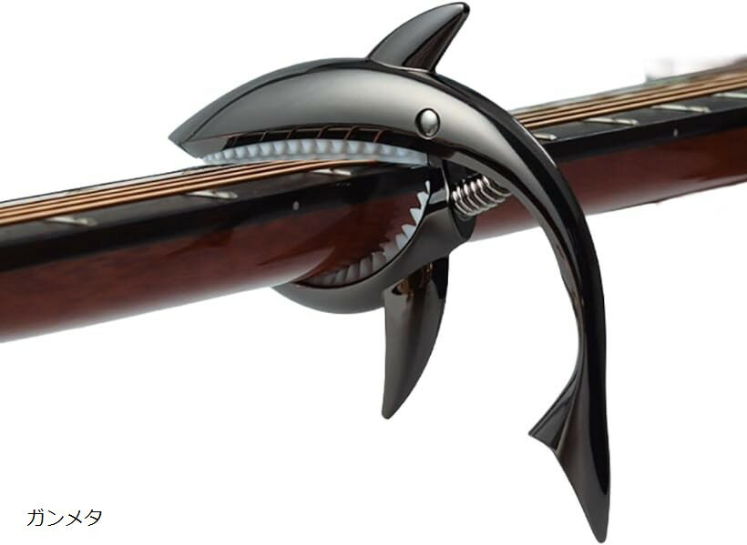 ȸꥮ ݥ 󥿥å ᷿  ե  쥭   (᥿)