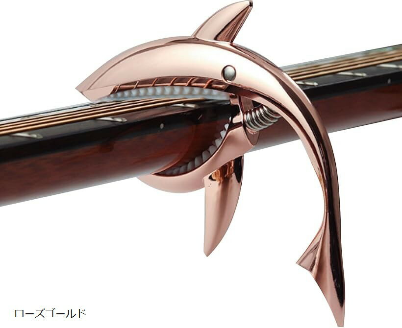 ȸꥮ ݥ 󥿥å ᷿  ե  쥭   ()