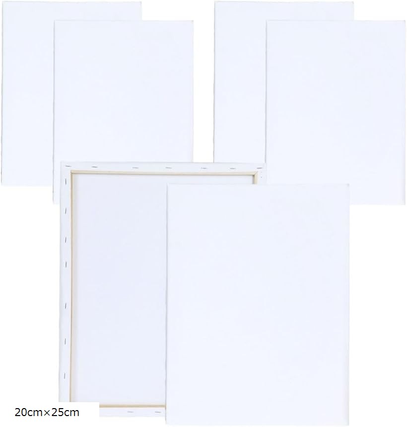 キャンバス 長方形 画材 フレーム 額縁 キャンバスボード 絵画 油絵 6個セット (白, 20cmx25cm)