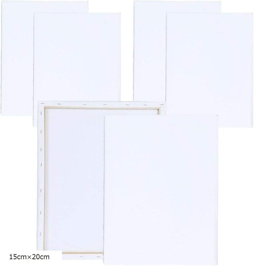 キャンバス 長方形 画材 フレーム 額縁 キャンバスボード 絵画 油絵 6個セット (白, 15cmx20cm)