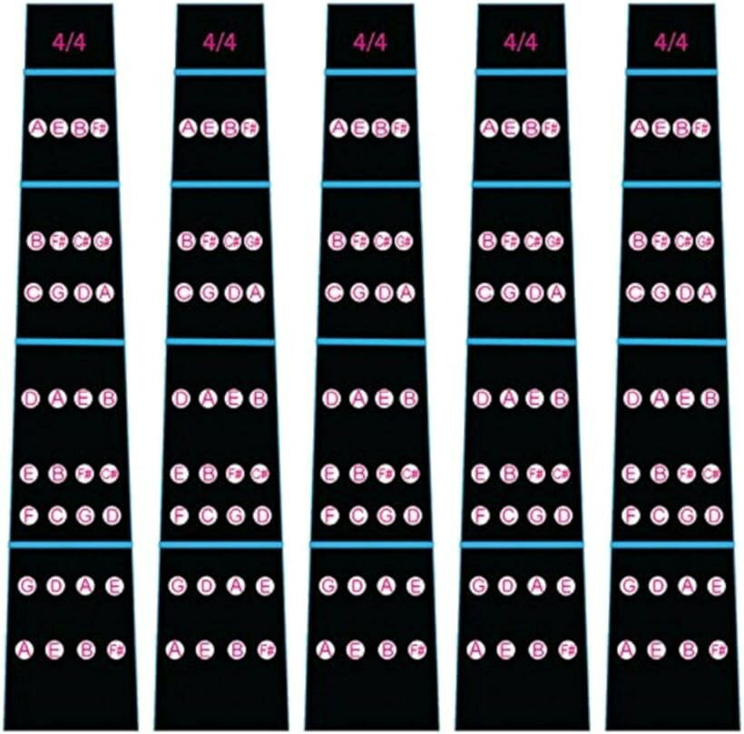 Х    ݥ 4/4 鿴  5祻å (֥å, 3.5x20cm)