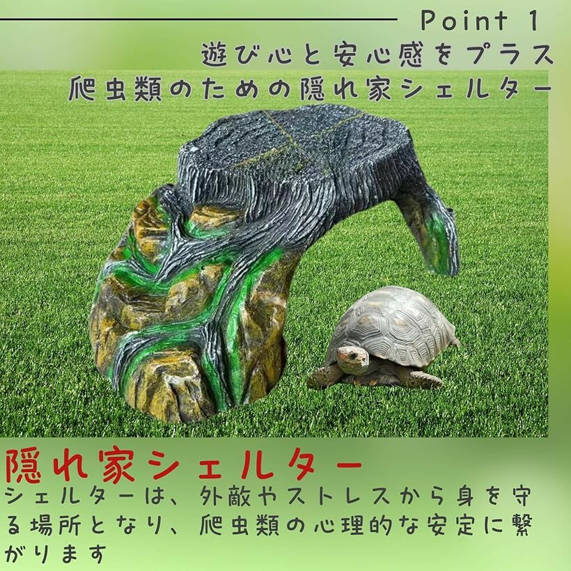 �� Φ�� �쥪�� �����륿�� ������ ����� ���� ����� ���� ­�� (���졼, ��)