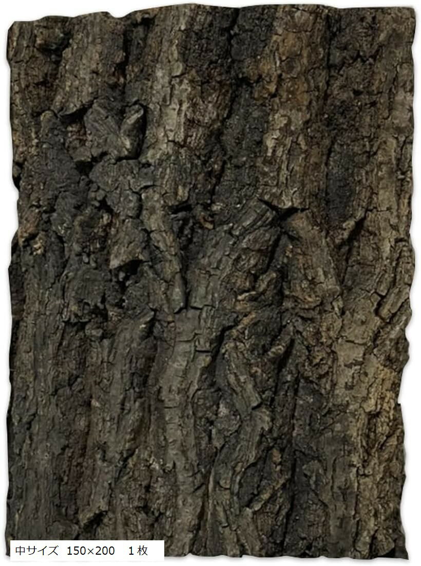 コルク樹皮 着生 エアプランツ チランジア バークチップ 爬虫類 観葉植物 本物 ヘゴ板 (black, 中サイ..