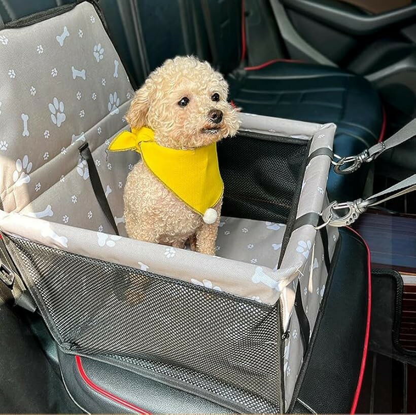 �� �� ������ �������� �ڥå��ѥɥ饤�֥����� �ɿ� �������� ���ּ������� �����٥���դ� (��­����-���졼, 40x32x22)