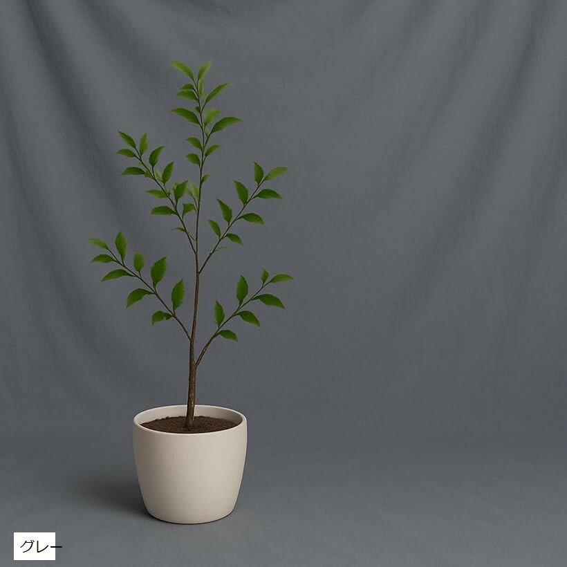 背景布 大型 無地 バックスクリーン 写真 撮影用 スタジオ 多用途 撮影布 装飾 洗濯可能 折りたたみ (グレー, 3mx4m)