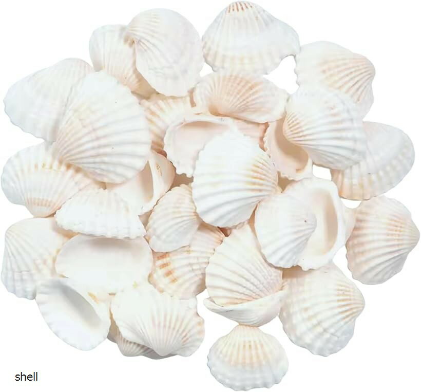 Azmio 貝殻 シェル アクセサリーパーツ DIY 手芸用品 白 ネイルパーツ ハンドメイド (shell)