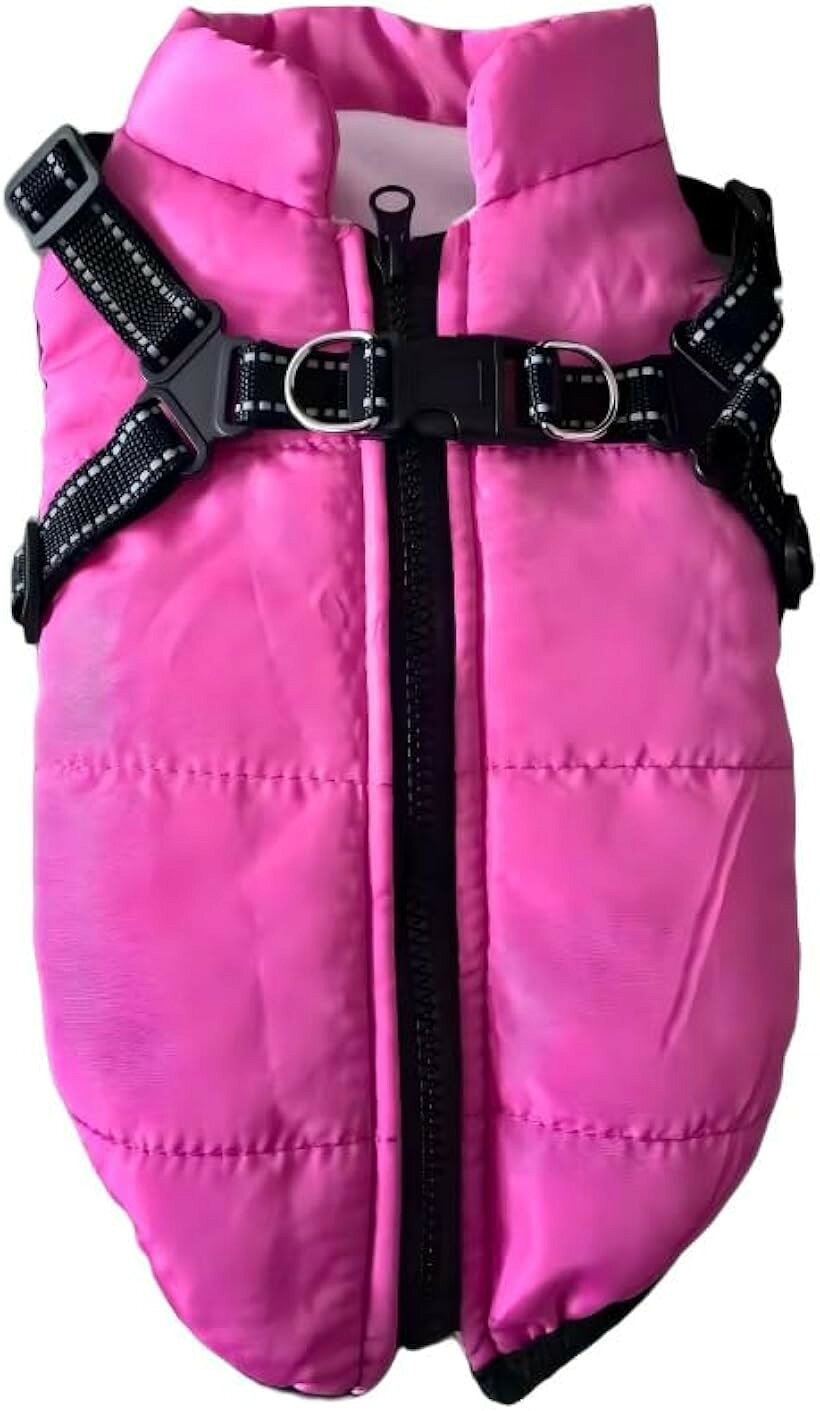 ���� �٥��� �ʥ����� �ɿ奸�㥱�å� �ɴ� �Ȥ��� ���� ��æ��ñ ���� (�ԥ�, M)
