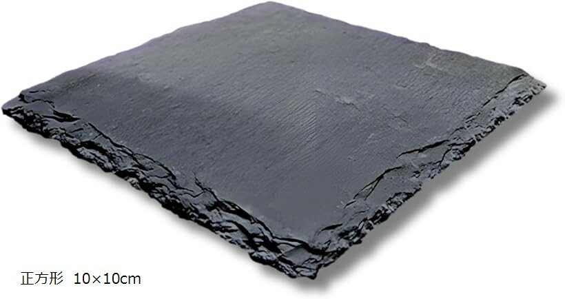 爬虫類用 フードプレート 保温 保湿 爪磨き (ブラック, 正方形 10x10cm)