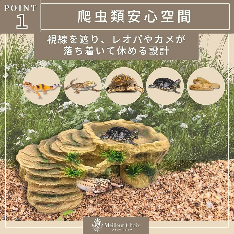 ����� ξ���� �����륿�� ������ �� Φ�� ���� ����� ���� ���� (�١�����/���꡼��, ��)