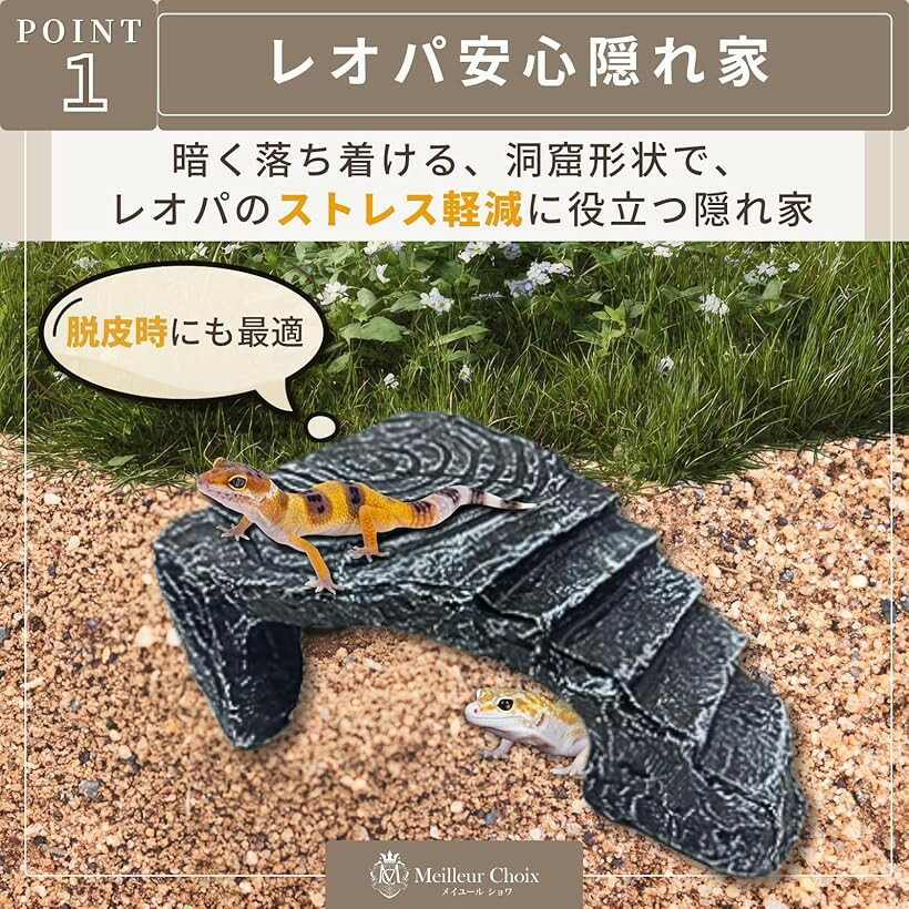�� ���� ����� �����륿�� �������ꥦ�� Φ�� ���� ����� ���� ���� (���졼, ��)