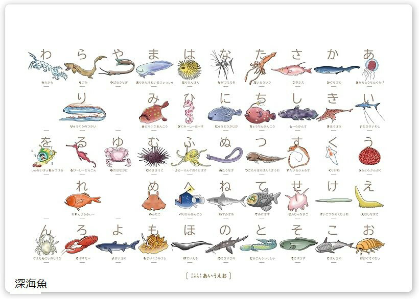 バリエーションコード : 2br3xy9r8g商品コード2br30f6ndc商品名知育・防水深海魚のあいうえお表 お風呂ポスター ひらがな学習・入学準備・ギフトにブランドこだわりあいうえおカラーホワイトサイズ等A3「フォントのこだわり」 文部科学省の学習指導要領に基づいた「教科書仕様」の丸ゴシック体を採用。ユニバーサルデザイン（UD）書体のため、読み間違いが少なく、弱視のお子様や文字学習を始めたばかりのお子様にも非常に読みやすいデザインとなっています。「浴室にぴったりなA3サイズ」 マンション等の浴室でも場所を取らないコンパクト設計。お子様の視界にスッと入り、集中して眺められるサイズ感です。「水で貼れる魔法のシート」 水だけで浴室の壁にピタッと密着。破れにくく、カビにくい高品質な合成紙（ユポ紙）を使用しています。掲載内容：アカチョウチンクラゲ・イトヒキイワシ・ウルトラブンブク・エボシナマコ・オオグソクムシ・カグラザメ・キボウボウ・クリオネ・ゲイコツナメクジウオ・コバンザメ・サギフエ・シーラカンス・スタイルフォルス・センジュナマコ・ソコボウズ・ダイオウイカ・チョウチンアンコウ・ツゴモリハリバンクサウオ・デメニギス・ドラゴンフィッシュ・ナガヅエエソ・ニュウドウカジカ・ヌタウナギ・ネズミザメ・ノコギリザメ・ハリセンボン・ピグミーシーホースなど「オリジナルの描き下ろしイラスト」 「こだわりあいうえお」のためだけに、プロのイラストレーターが一点一点丁寧に描き上げたオリジナルイラストです。図鑑のようなリアルさと「ぬくもり」の両立 写真では伝えきれない生き物たちの質感や特徴を、手描きならではの優しいタッチで表現しました。図鑑のような精密さを持ちながら、お部屋のインテリアを邪魔しない温かみのあるデザインにこだわっています。「こだわり」を支えるディテール 恐竜の皮膚の質感や、深海魚の神秘的な光り方など、細部にまで情熱を込めています。お子様がじっくりと眺めることで、新しい発見や驚きが生まれるような「生きたイラスト」を目指しました。ここでしか出会えない生き物たち 市販のあいうえお表にはなかなか登場しないマニアックな生き物たちも、このブランドのために特別にデザイン。お子様の「好き」をどこまでも深く、広く広げます。ブランド: こだわりあいうえお 「こだわりあいうえお」は、発達障害のある息子を持つ夫婦が、わが子のために開発したブランドです。なかなか文字に興味を持てなかった彼が、大好きな恐竜や深海魚の図鑑だけは夢中で眺める姿を見て、「彼の「大好き」を学びに変えよう」と決意したことから生まれたお風呂ポスターです。※ 他ネットショップでも併売しているため、ご注文後に在庫切れとなる場合があります。予めご了承ください。※ 品薄または希少等の理由により、参考価格よりも高い価格で販売されている場合があります。ご注文の際には必ず販売価格をご確認ください。※ 沖縄県、離島または一部地域の場合、別途送料の負担をお願いする場合があります。予めご了承ください。※ お使いのモニタにより写真の色が実際の商品の色と異なる場合や、イメージに差異が生じることがあります。予めご了承ください。※ 商品の詳細（カラー・数量・サイズ 等）については、ページ内の商品説明をご確認のうえ、ご注文ください。※ モバイル版・スマホ版ページでは、お使いの端末によっては一部の情報が表示されないことがあります。すべての記載情報をご確認するには、PC版ページをご覧ください。好きの力で、ひらがながもっと楽しくなる。深海魚マニアのお子様へ贈る、特別な「あいうえお表」が登場。 「普通のあいうえお表には飽きてしまった…」 「うちの子、特定の生き物にはすごく詳しいんだけど…」 そんな「こだわり」が強いお子様にぴったりの学習ポスターです。このポスターの「こだわり」ポイント マニアックで知的好奇心を刺激する「深海魚」セレクト 「め」は「メンダコ」、「る」は「ルビーシードラゴン」。一般的な表ではなかなか出会えない珍しい深海魚たちが、お子様の「これ知ってる。」「もっと知りたい。」という探究心を引き出します。優しく温もりのある手描きイラスト 図鑑のようなリアルさと、お部屋に馴染む温かみのあるタッチを両立。深海魚の不思議な造形を美しく再現した、クリエイターこだわりの描き下ろしです。お風呂の時間が「学びと遊び」の場所に 水で濡らすだけで壁に貼れる「ユポ紙（防水）」を使用。お風呂に浸かりながら、親子でゆっくり深海魚の名前を呼んだり、形を観察したり。毎日のバスタイムが、楽しい学習の時間に変わります。こんなシーンにおすすめ ひらがなに興味を持ち始めたお子様へ 深海魚や海の生き物が大好きなあの子へ ちょっと珍しい、センスの良い入学・入園祝いとして リビングや子供部屋のインテリアを邪魔しない知育玩具を探している方に