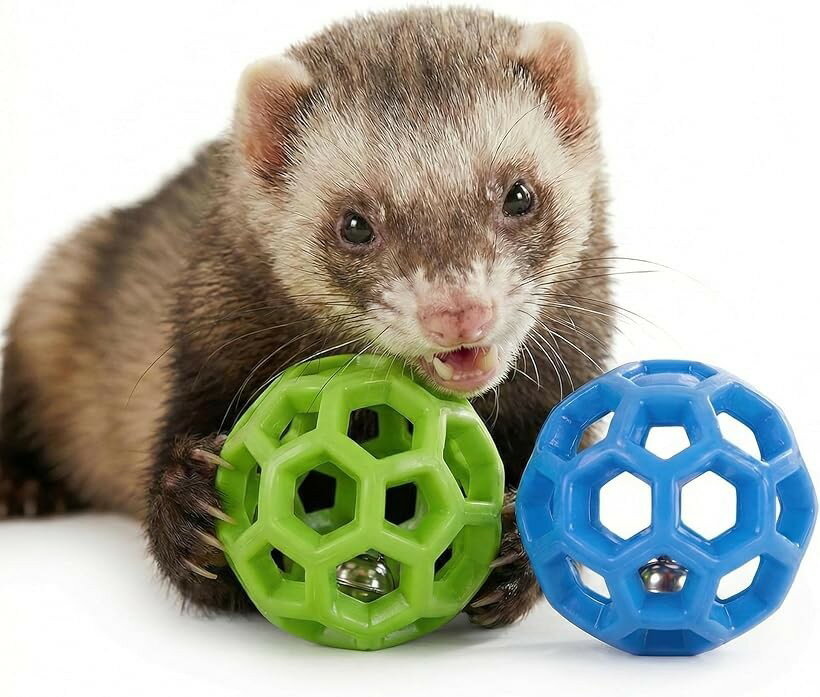鈴の音に興味津々。 フェレット おもちゃ ボール 小動物 直径5cm 鈴入り 音が鳴る TPRラバー製 追いかけ遊び 犬 猫 (グリーン＆ブルー)