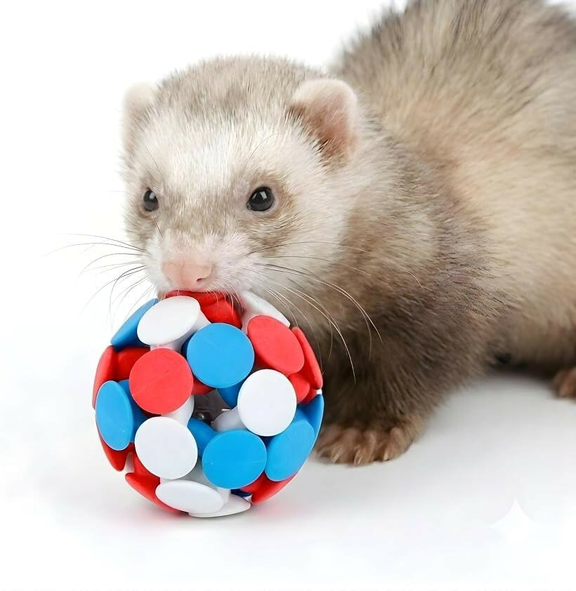気づけば夢中 フェレット おもちゃ ボール 小動物 鈴入り 直径6.5cm ラバー製 猫 (...