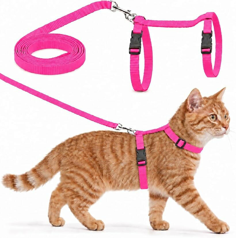 バリエーションコード : 2bkf26r9wq商品コード2bkf2jc060商品名猫 ハーネス リード付き 猫用ハーネス サイズ調整可能 ワンタッチ 簡単装着 ナイロン 子猫 小型猫 散歩ブランドCOMFORTISカラーSサイズ・ピンクサイズ等Sサイズ「H型デザインの猫用ハーネス」首まわりと胴まわりを支えるH型デザインを採用。紐による負担を軽減する設計で、猫ちゃんとの散歩やお出かけに使いやすいリード付きハーネスです。「ワンタッチで簡単装着」ワンタッチボタンを採用しているため、ハーネスの着脱が簡単。首まわり・胸まわりを調整できるので、子猫から小型の成猫まで体格に合わせてお使いいただけます。「耐久性のあるナイロン製」ハーネスには耐久性のあるナイロン素材を使用。日常のお散歩や猫ちゃんとのお出かけに使いやすい、シンプルな猫用ハーネスです。「S・Mの2サイズ／サイズ調整可能」Sサイズは頸部16～26cm・胸部22～36cm、Mサイズは頸部22～32cm・胸部24～42cm。猫ちゃんの体格に合わせてサイズを調整できます。リードの長さはS・Mともに115cmです。「選べる4カラーx2サイズ」赤・ピンク・青・黒の4カラーバリエーションと、S・Mの2サイズをご用意。シンプルで可愛いデザインなので、猫ちゃんに合わせてカラーとサイズをお選びいただけます。「低価格を実現」 可能な限り低価格で使っていただく為、エコパッケージや簡易梱包での配送により、皆様にお求めやすい低価格を実現しました「クオリティーの追求」 常に商品改善を行っており、予告無しにデザインの変更がございますのでご了承ください※ 他ネットショップでも併売しているため、ご注文後に在庫切れとなる場合があります。予めご了承ください。※ 品薄または希少等の理由により、参考価格よりも高い価格で販売されている場合があります。ご注文の際には必ず販売価格をご確認ください。※ 沖縄県、離島または一部地域の場合、別途送料の負担をお願いする場合があります。予めご了承ください。※ お使いのモニタにより写真の色が実際の商品の色と異なる場合や、イメージに差異が生じることがあります。予めご了承ください。※ 商品の詳細（カラー・数量・サイズ 等）については、ページ内の商品説明をご確認のうえ、ご注文ください。※ モバイル版・スマホ版ページでは、お使いの端末によっては一部の情報が表示されないことがあります。すべての記載情報をご確認するには、PC版ページをご覧ください。