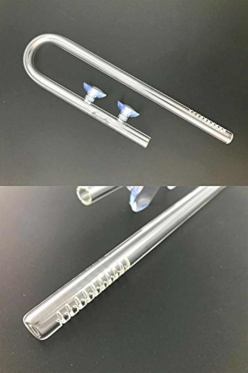 �ڳ�ŷ��󥭥�1�����ޡۿ��� �� ���ꥢ ���饹�ѥ��� Ǯ�ӵ� �������ꥦ�� ���� 12/16 �ۡ����� ��ꥣ�� �п� �ۿ� ���å� (2. ��ꥣ�� �п� + �ۿ�)
