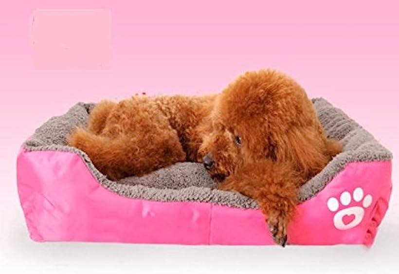 洗える ペット用 ベッド 簡易 撥水 加工 犬 猫 秋 冬 小型犬 中型犬 カラフル 4カラー 3サイズ ふわふわ もこもこ あったか ワンちゃんネコちゃん大喜び M／スカイブルー(スカイブルー, M)