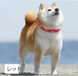 最新 犬用光る首輪 発光首輪 usb充電式 柔らかい 軽量 調整可能 ペット 猫 LED光る首輪 安全対策 視認..
