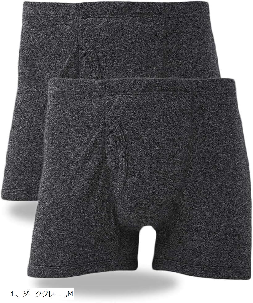パンツ メンズ 下着 ブリーフ 肌着 2枚 セット シミ対策 抗菌 消臭 前開き ボタンなし 無地 1.ダークグレー M (1.ダークグレー, M)