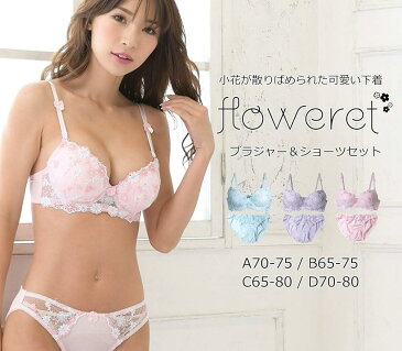 Smile LaLa 紫 レディース ブラ ブラジャー ショーツ 下着 上 セット 女性 脇高い はみ肉 ぐいよせ インバック オープン カップ ヒップアップ コットン 素材 小さい ヤワラカイ 総レース 胸元 カバー(パープル, C75)