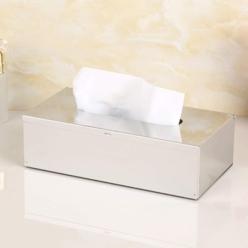 【楽天ランキング1位入賞】ティッシュケース ステンレス製 壁掛け 平置き 2way