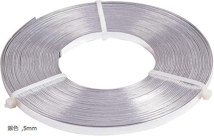 10m幅5mm銀色アルミ線 平角線 曲げる線 ジュエリー作り 工芸品 園芸 手作り素材 クラフト用 (銀色, 5mm)
