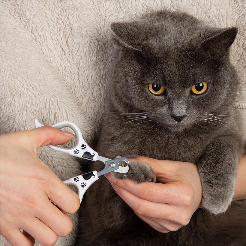 ������ ǭ ���ڤ� ǭ���ڤ� ���ƥ�쥹�� ������������ ���� ����ѥ��� �Ȥ��䤹�� ���ȥ쥹�ʤ����ѥä� �ڤ�� ǭ���� �鿴���� (�ۥ磻��, ��ǭ����)