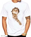 Tシャツ 猫 おもしろ トリックアート カジュアル シンプル ブラウンネコ XXXL(NO.1, 3XL)