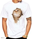 Tシャツ 猫 おもしろ トリックアート カジュアル シンプル ブラウンネコ(NO.2, S)