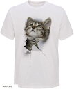 Tシャツ 猫 おもしろ トリックアート カジュアル シンプル ブラックネコ XXXL(NO.5, 3XL)