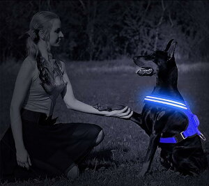 犬用 LED 光るハーネス ペット用品 点滅 点灯 夜間 散歩 雨天使用可能 水洗い 洗える MDM( ブルー, M)