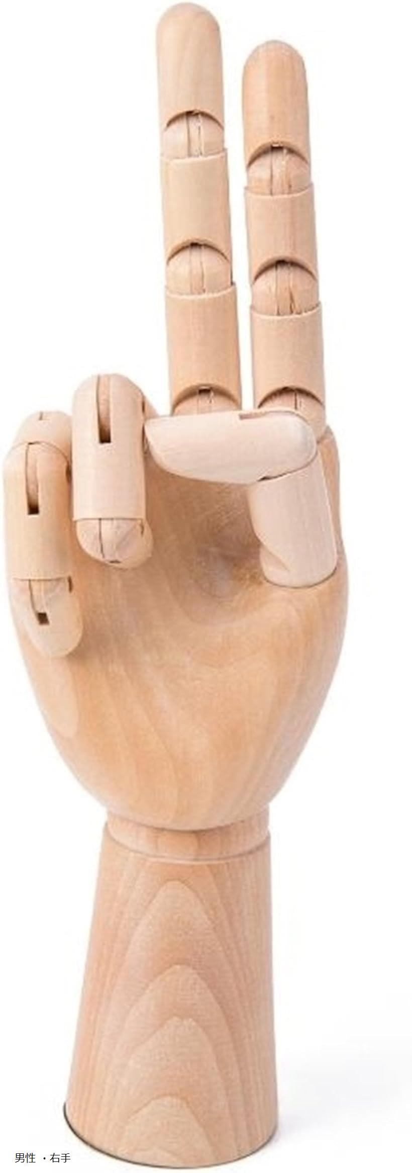 木製 デッサン ハンド モデル 手 マネキン ディスプレイ 参考デッサンカット付き 男性 ・右手
