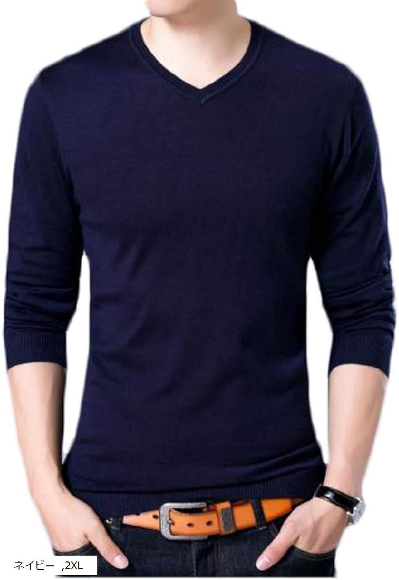 サンクシャ ニット セーター Vネック ウール 長袖 無地 シンプル カジュアル デザイン 秋 メンズ アメ..