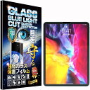 【楽天ランキング1位入賞】RISEブルーライトカットガラスiPad Pro 12.9 2021 2020 2018 フィルム(1枚セット ipad pro 12.9 20)