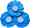 アイスバッグ アイシング 氷のう スポーツ 発熱 熱中症対策 冷却グッズ クールダウン 9インチ ブルー(9インチ ブルー)