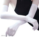 エレクトリックサーカス ストッキング ロング 手袋 2双 セット セクシー アーム カバー シースルー グローブ 格好いい 可愛い お洒落 人気 お勧め 安い プレゼント コスチューム パンスト エロ 腕(ホワイト, Free Size)