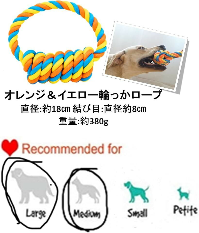 �ڳ�ŷ��󥭥�1�����ޡ�Bluestarz13923 ��������� �淿�� �緿���� �������פ������ ���ѳ��प������� ����󥸡����������ؤä������� (����󥸡����������ؤä�������)