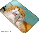ねこタウン 猫ちゃんバスマット リアル 写真 癒し フランネル素材 フロアマット 足ふきマット 40cmx60cm タイプE(40cmx60cm タイプE)