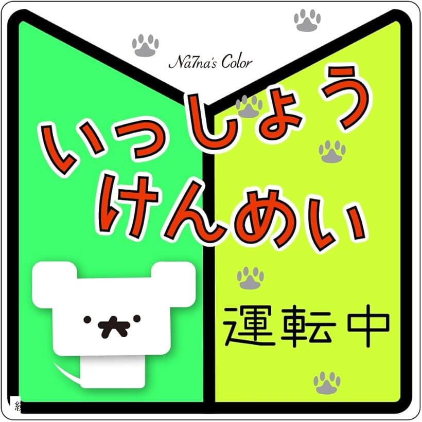 車 マグネット ステッカー いっしょうけんめい運転中 初心者マーク 耐水 UVカット 14.8cm(緑, 幅14.8cmx長14.8cmx高0.08cm)のサムネイル