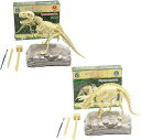 恐竜 化石発掘キット おもちゃ 発見学習セット 2個セット TRex+Triceratops