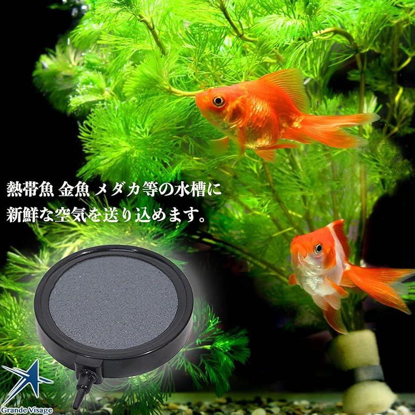 ���������ȡ��� �٤���ˢ �礭�� 10.7cm �ޥ������Х֥� ����ߥå� ���� �ݷ� ���� �˺� �������ݥ�� �߷� ���å�
