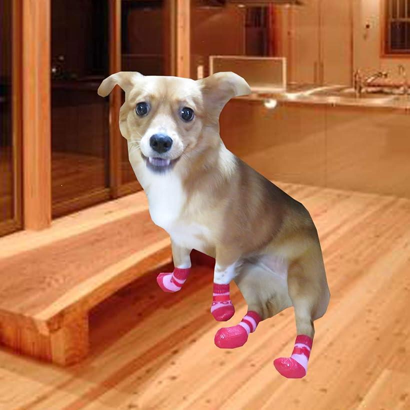 OHstoreの犬用ソックス 靴下 滑り止め 面ファスナー付き 4個セット S ブルー (ブルー, S)｜アングル2