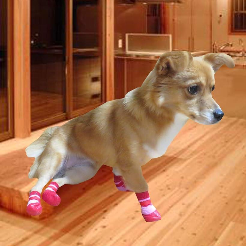 OHstoreの犬用ソックス 靴下 滑り止め 面ファスナー付き 4個セット S ブルー (ブルー, S)｜アングル3