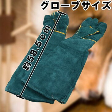 GREE ペットグローブ ロング手袋 肘までガード 厚手 牛革 噛みつき 引っかき 犬 猫 爬虫類 耐久性 傷防止 園芸 キャンプ(ホワイト)