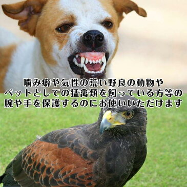 GREE ペットグローブ ロング手袋 肘までガード 厚手 牛革 噛みつき 引っかき 犬 猫 爬虫類 耐久性 傷防止 園芸 キャンプ(ホワイト)