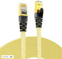 CAT7準拠STP 高速LANケーブル (8m) AMPCOM 10Gbps/600MHz RJ45 フラット インターネットケーブル 金メッキコネクタ(組紐)