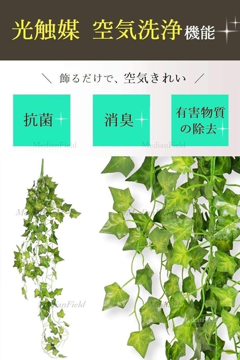 MedianField 【 観葉植物 光触媒 ...の紹介画像2