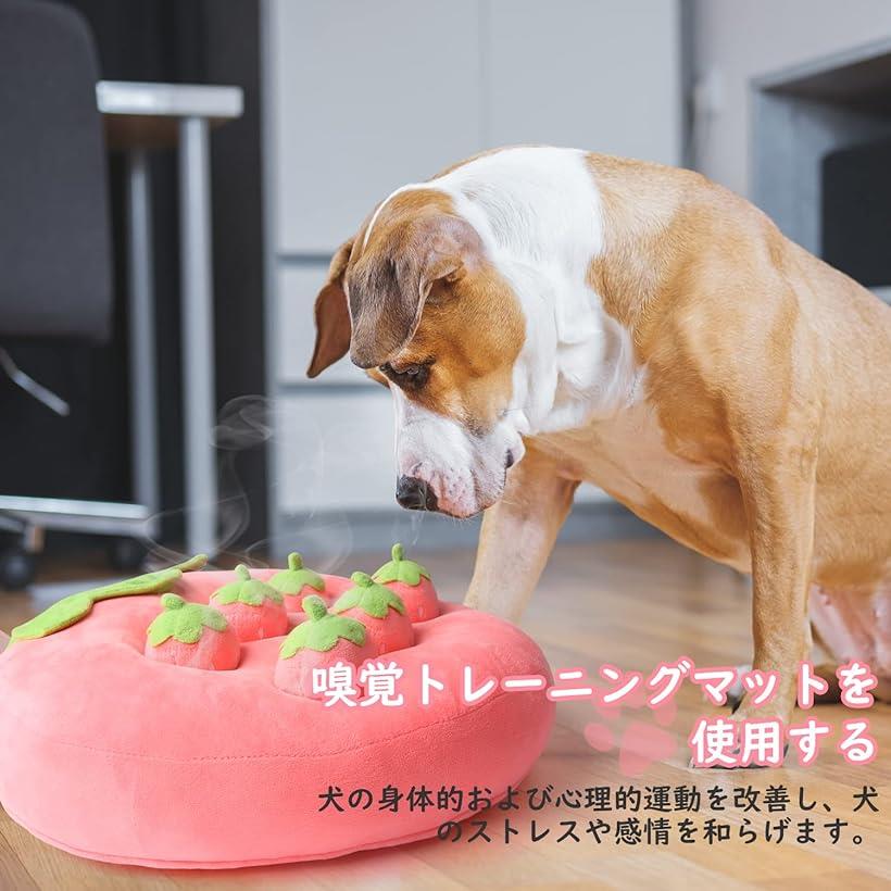 工場直送 Meseven 犬 ノーズワークマット いぬ にんじん 犬にんじん 知育玩具 ピンク にんじん畑 おもちゃ